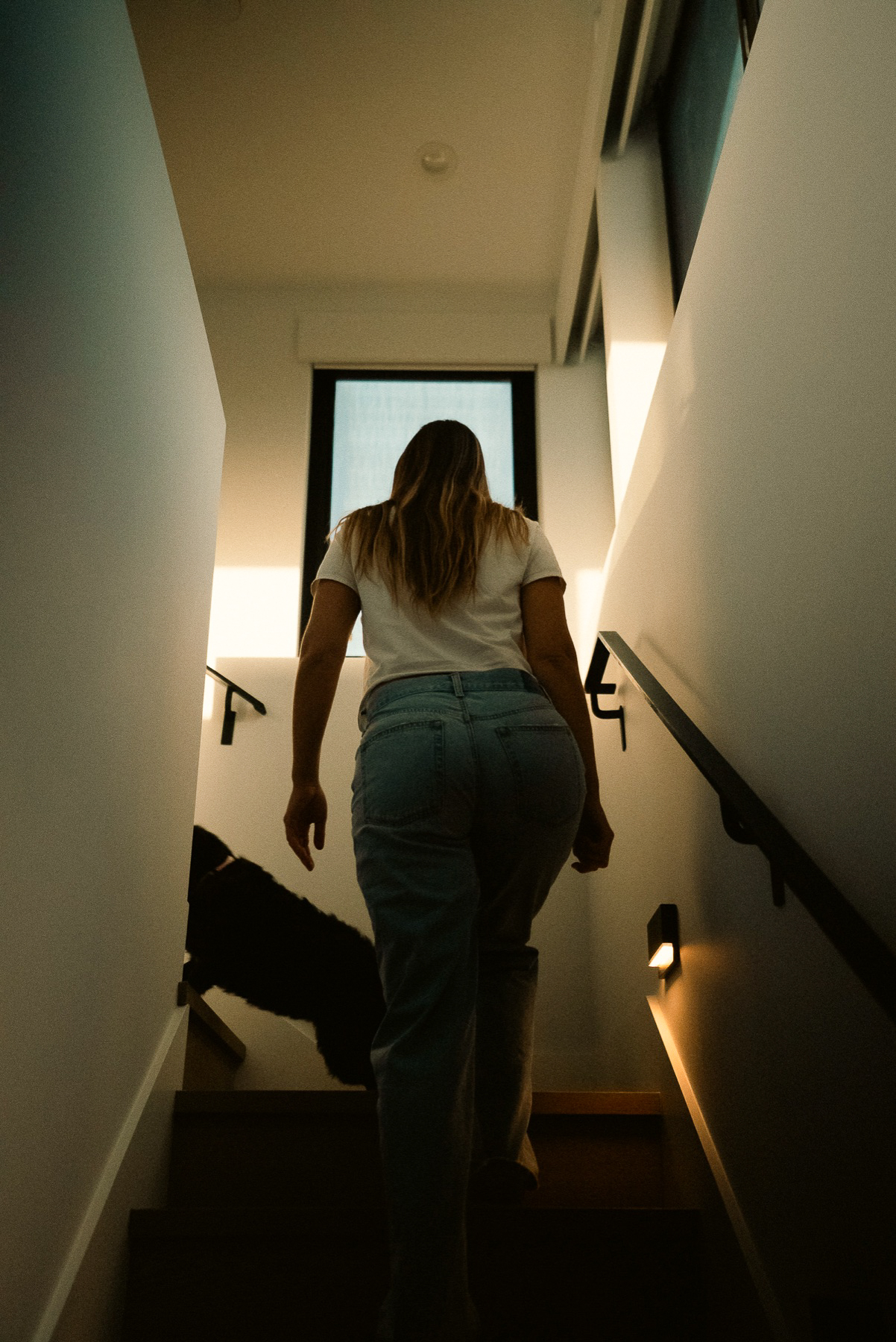 Person on the stair with a dog