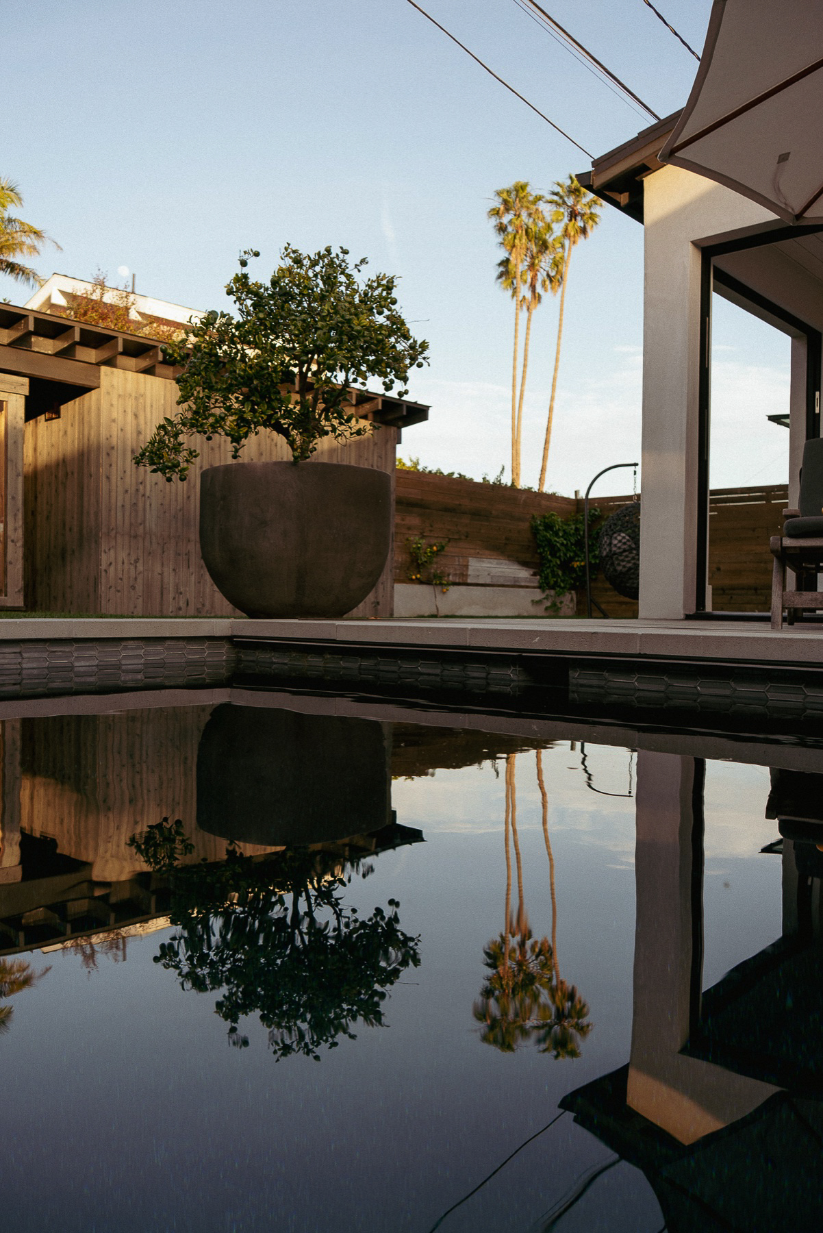 Pool reflection and lime tree