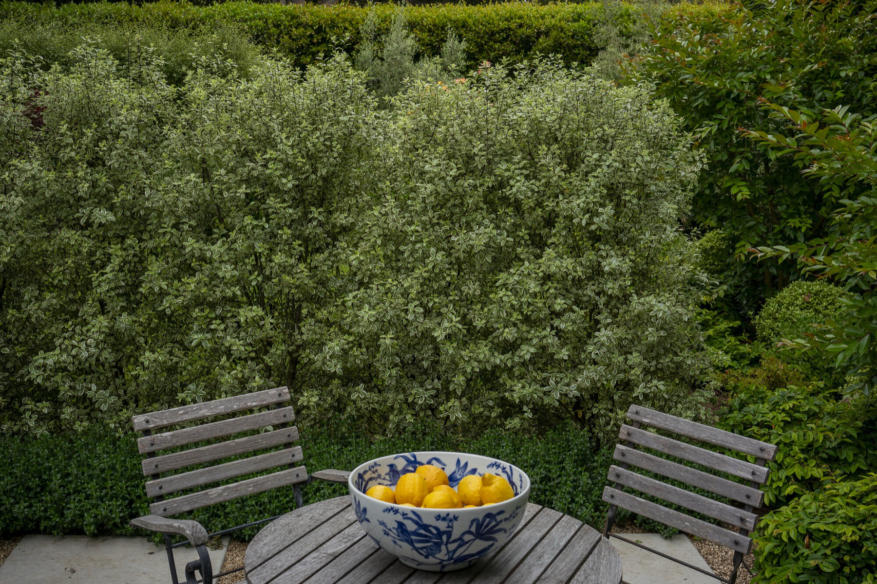 Bowl of lemons on the garden table