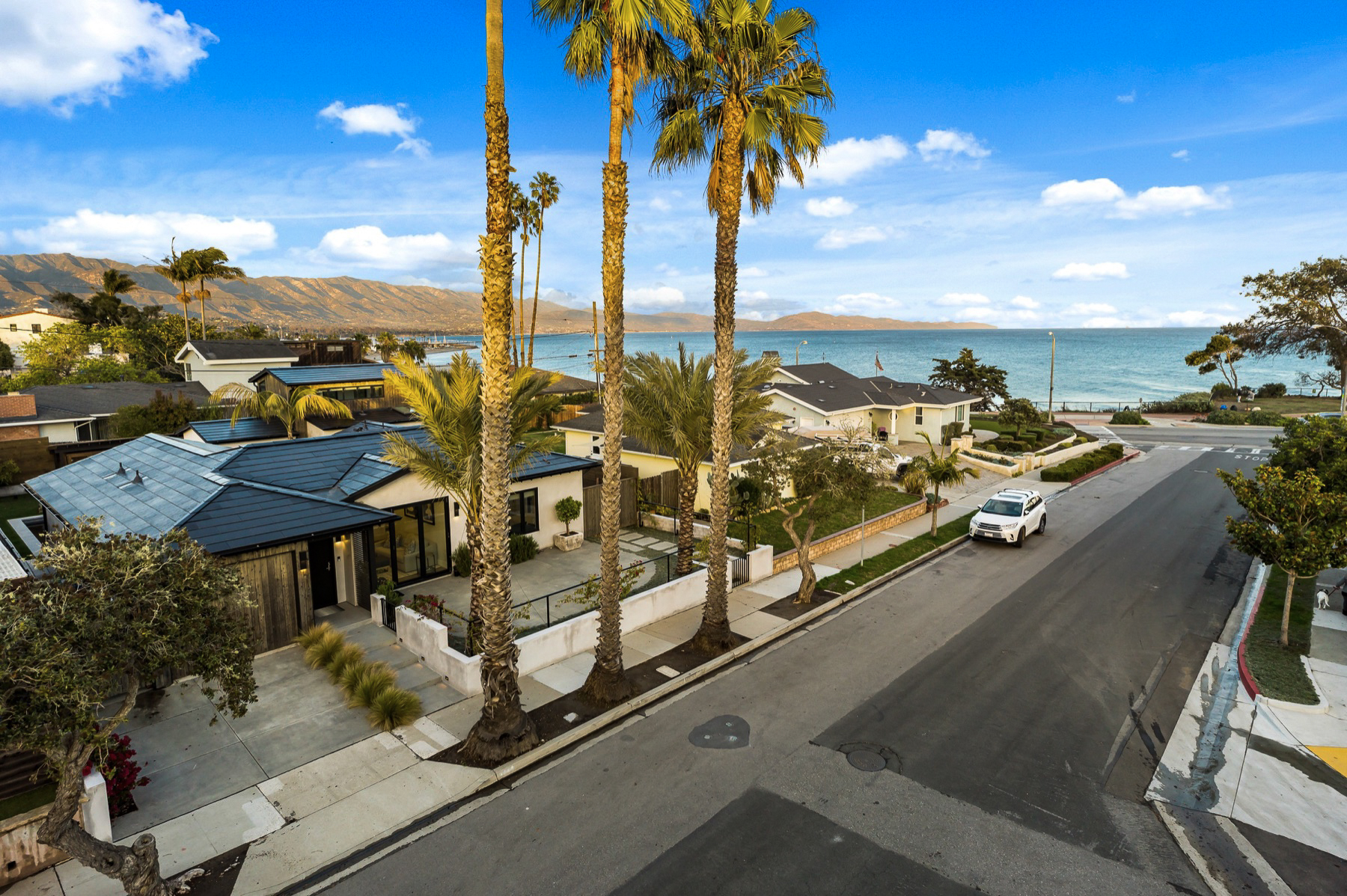 Palm-lined street meeting the ocean