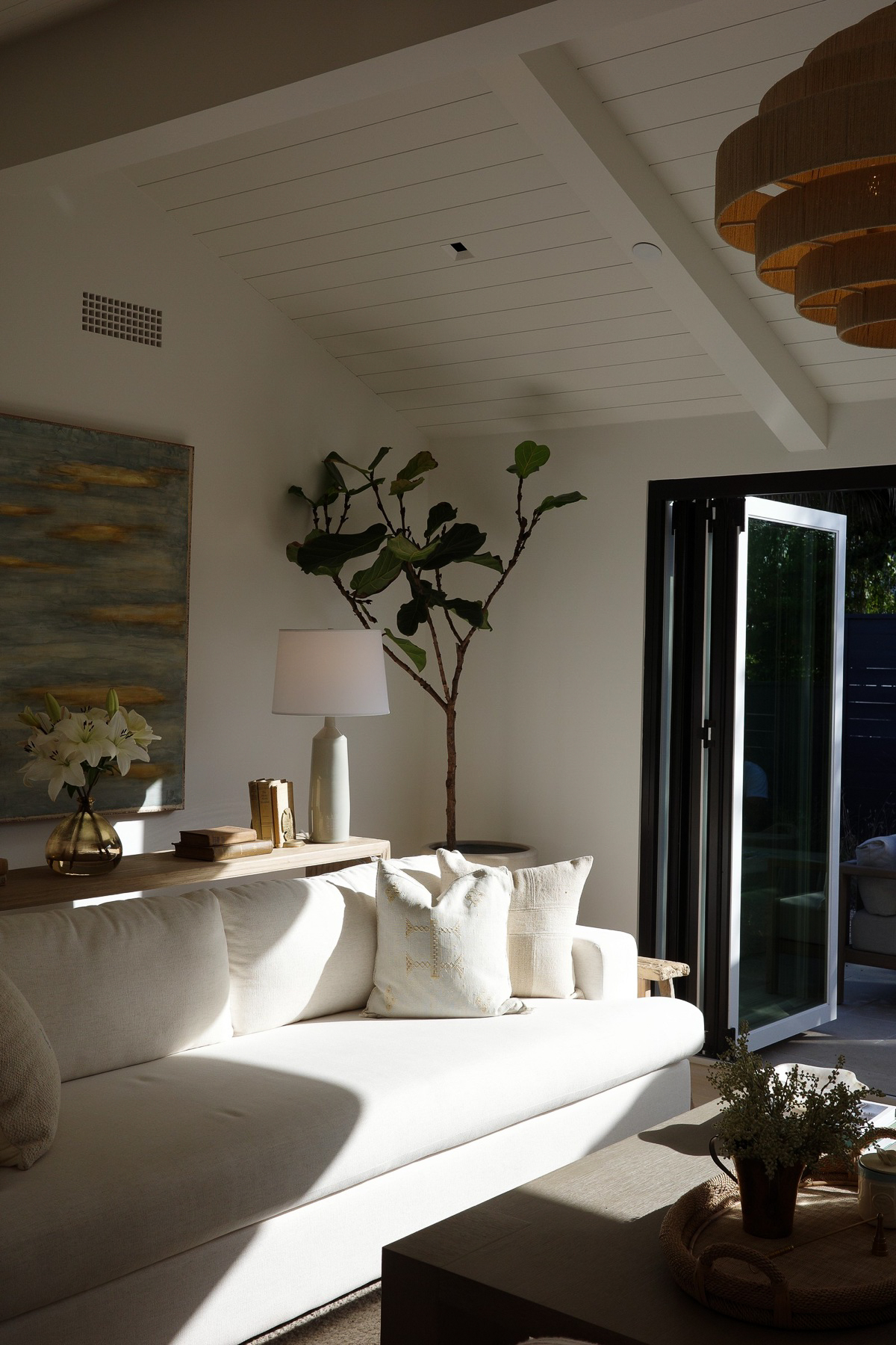 Sunlit living room with fig tree